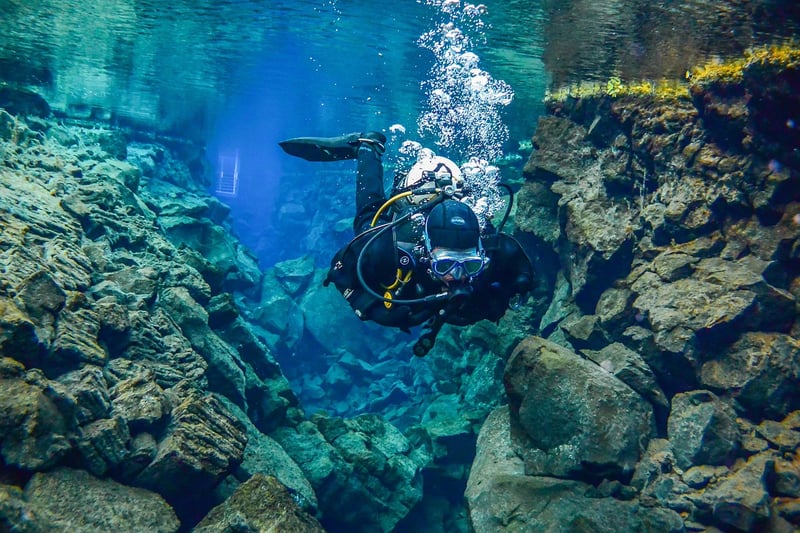 Deep Sea Discoveries
