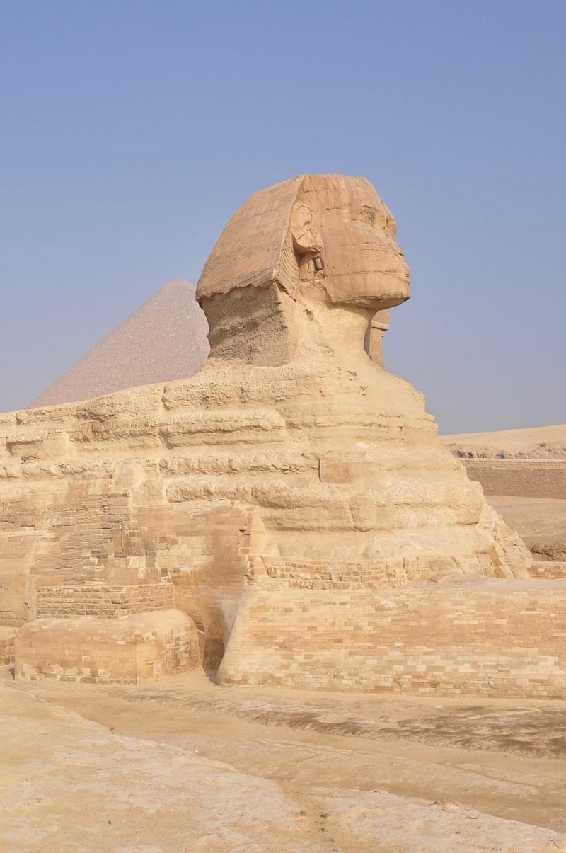 Curse of the Pharaohs